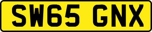 SW65GNX