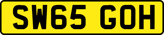 SW65GOH