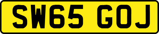 SW65GOJ