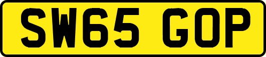 SW65GOP