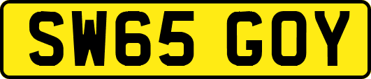 SW65GOY