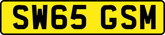 SW65GSM