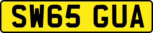 SW65GUA