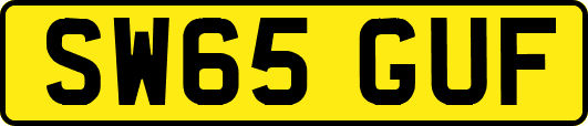 SW65GUF