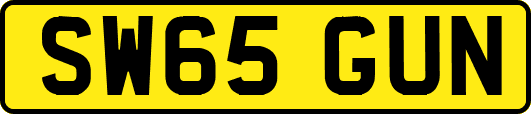 SW65GUN