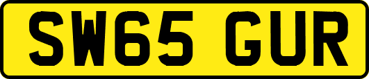 SW65GUR