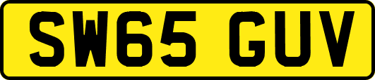 SW65GUV