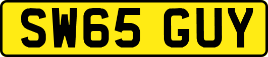 SW65GUY