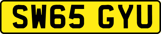 SW65GYU