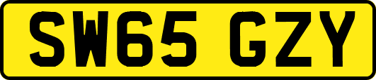 SW65GZY