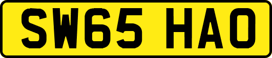 SW65HAO
