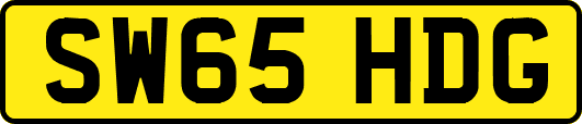 SW65HDG