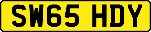 SW65HDY