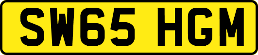 SW65HGM