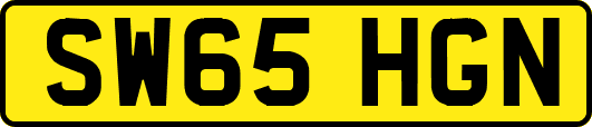 SW65HGN