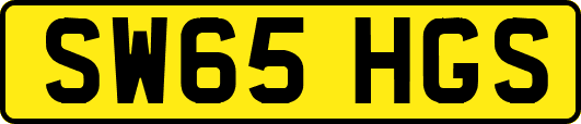SW65HGS