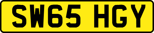 SW65HGY