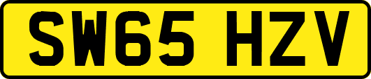 SW65HZV
