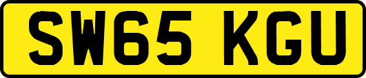 SW65KGU
