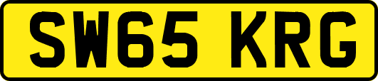 SW65KRG