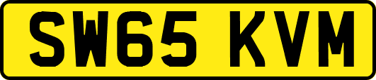 SW65KVM