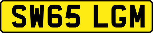 SW65LGM