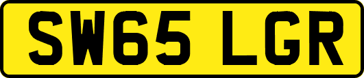 SW65LGR