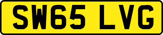 SW65LVG