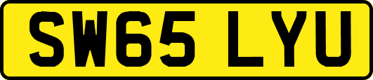 SW65LYU