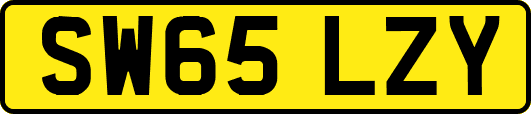 SW65LZY