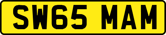 SW65MAM