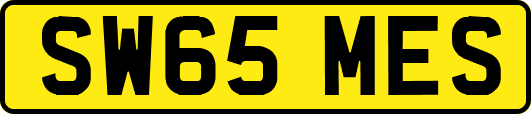 SW65MES