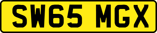 SW65MGX