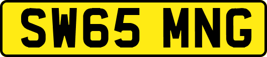 SW65MNG