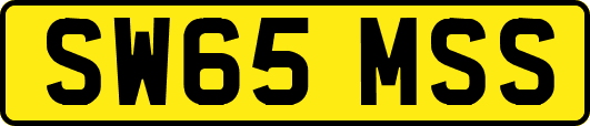 SW65MSS