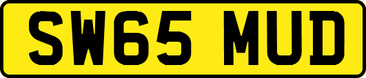 SW65MUD