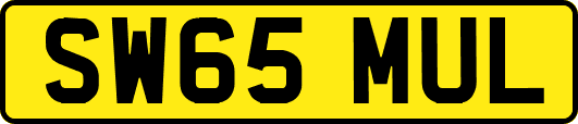 SW65MUL
