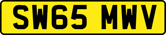 SW65MWV