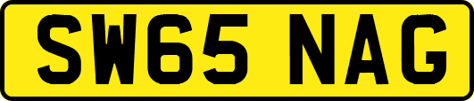 SW65NAG