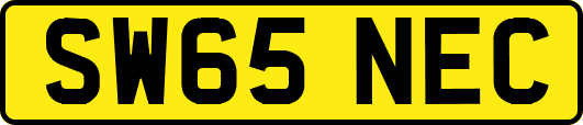 SW65NEC
