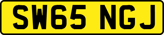 SW65NGJ