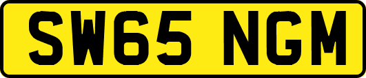 SW65NGM