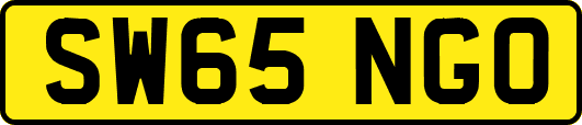 SW65NGO