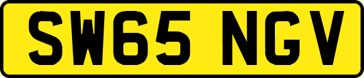 SW65NGV