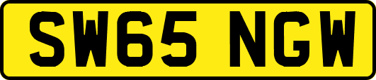 SW65NGW