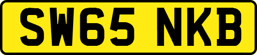 SW65NKB