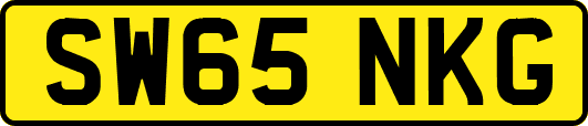 SW65NKG