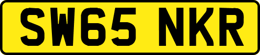 SW65NKR
