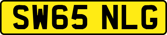 SW65NLG
