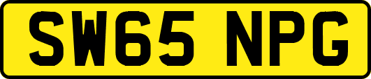 SW65NPG